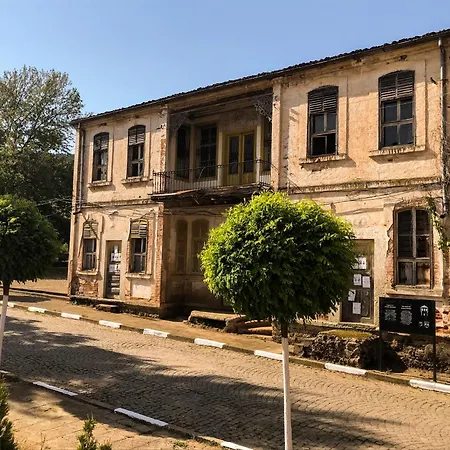 Bukor Shtepi Magnolia Mandrica